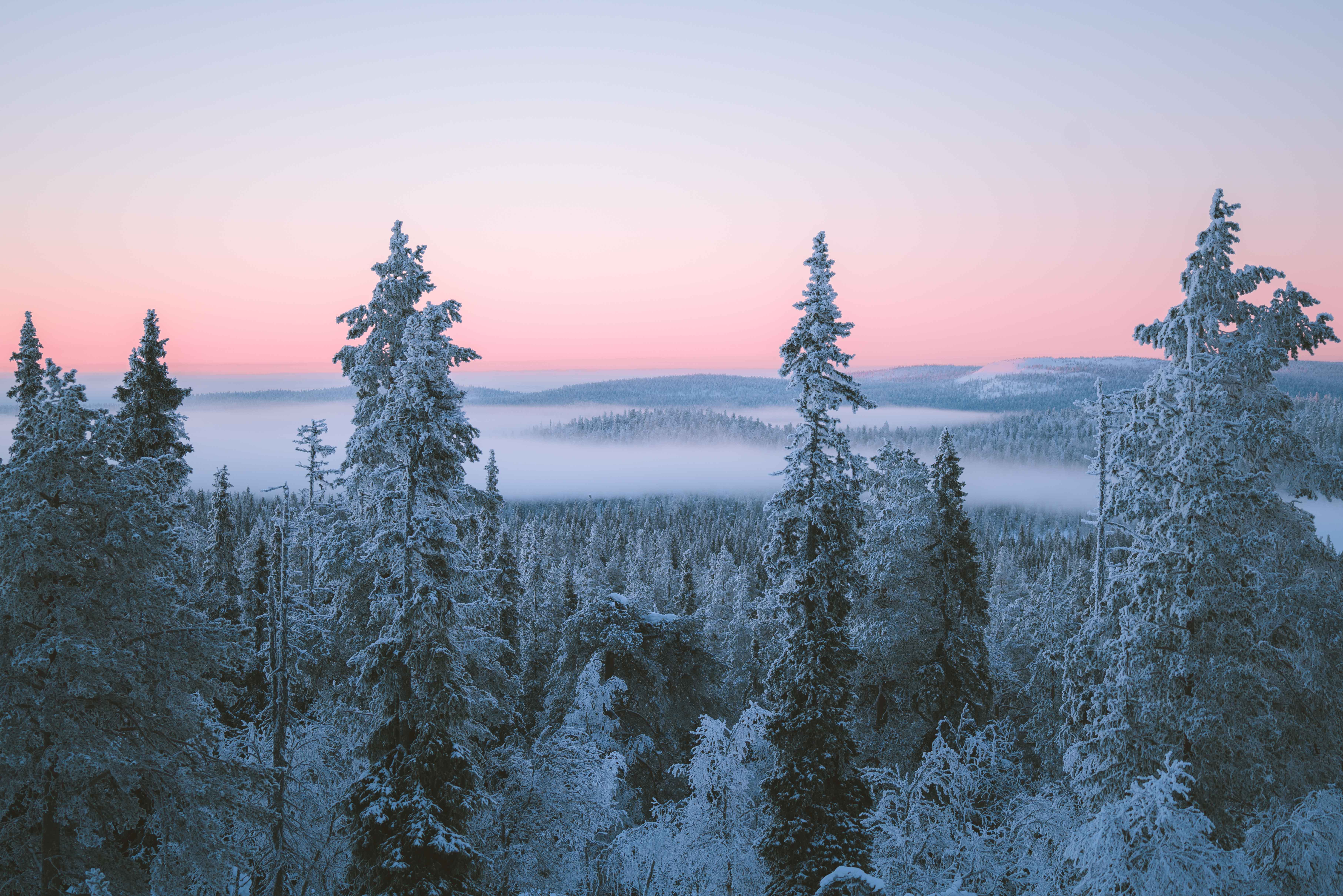 Finland Holidays & Experiences | Where The Wild Is Travel