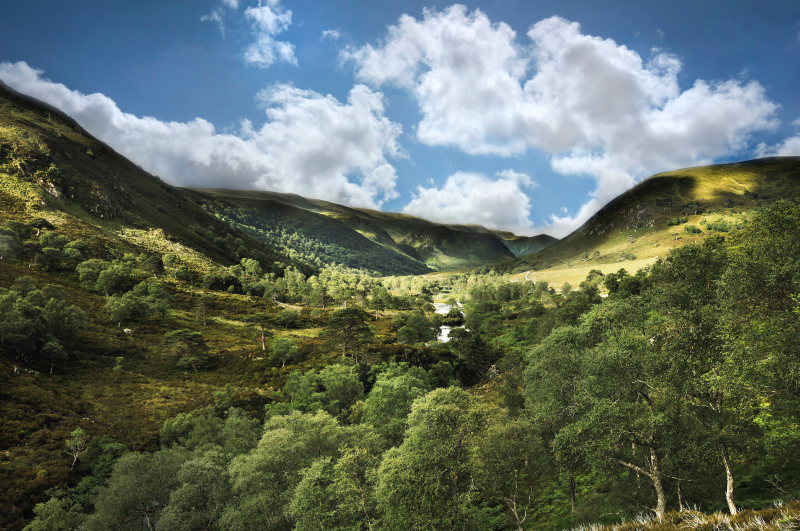 Alladale Low Res