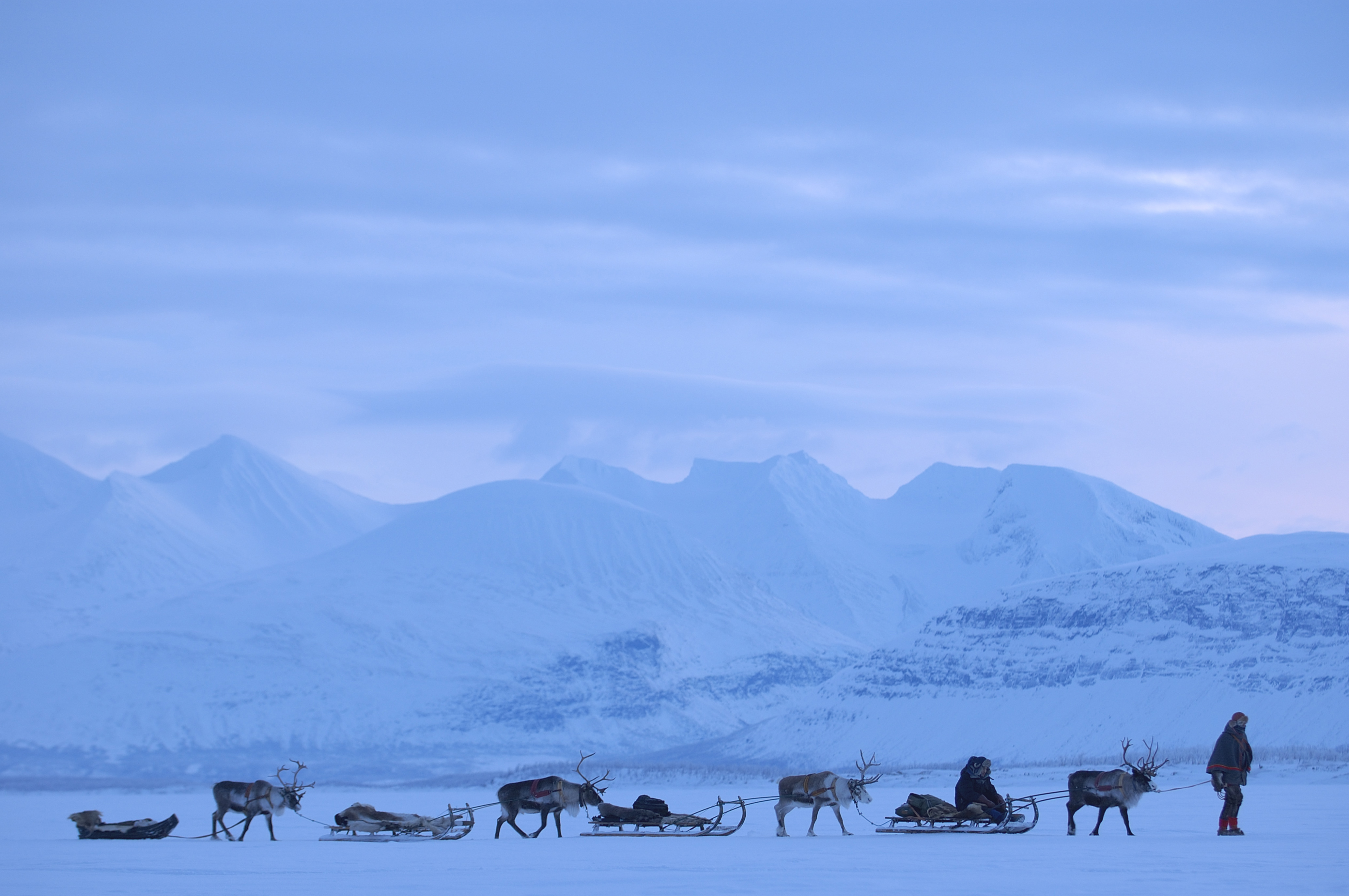 Lapland Holidays & Experiences Where The Wild Is Travel