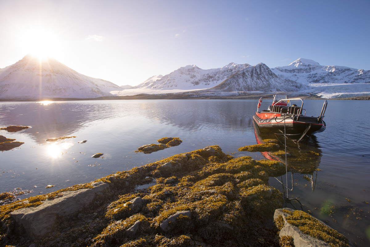209 Silverless 097A2346 2Svalbard 1200Px